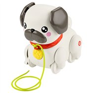 pasea al perrito carlino
