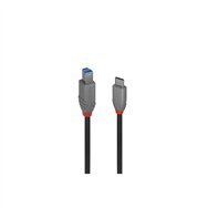 lindy 36667 cable usb usb 3.2 gen 1 (3.1 gen 1) 2 m usb c usb b negro