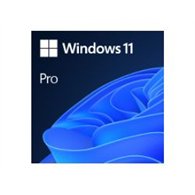 windows 11 pro 32/64 bits esp usb (hav-00212)