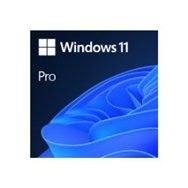 windows 11 pro 32/64 bits esp usb (hav-00212)