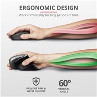 Raton Trust Verro Wireless Ergonomic