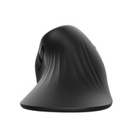 Raton Trust Verro Wireless Ergonomic