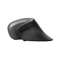 Raton Trust Verro Wireless Ergonomic