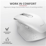 Raton Trust Ozaa Ergonomico Recargable Wireless White