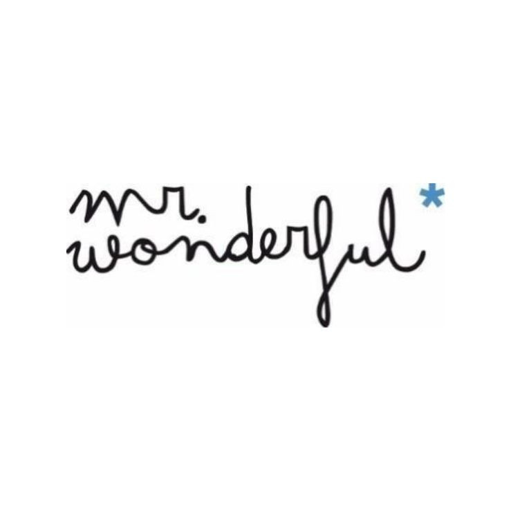 Mr. Wonderful
